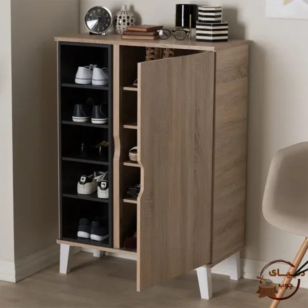 Modern 15 pair shoe rack 1